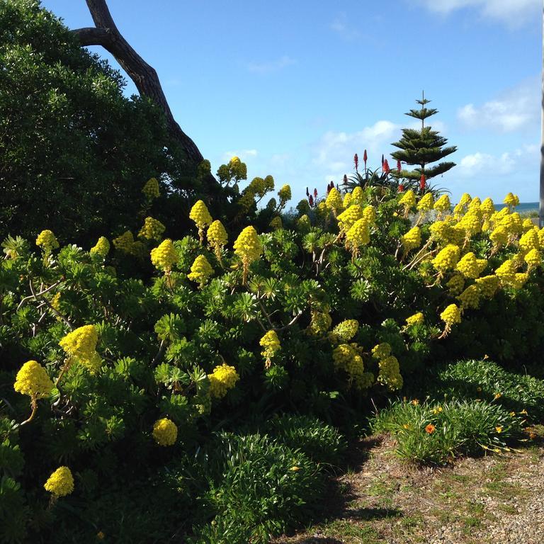 Guest house Yelki By The Sea Encounter Bay