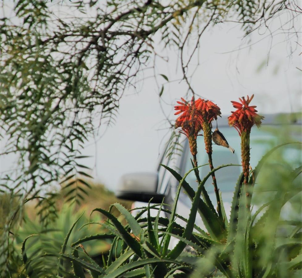 Guest house Yelki By The Sea 3*